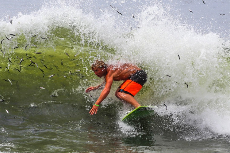 Skimboarding: a sport in contact with nature | Photo: WST