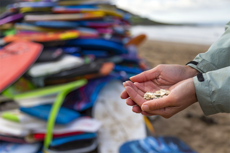 Disposable bodyboards: sold for $10 and littered on beaches | Photo: Keep Tidy Britain