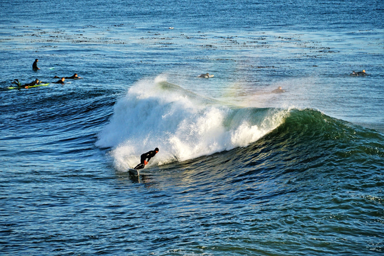 Steamer Lane: a cold water surfing proving ground in the heart of Northern California | Photo: Shutterstock