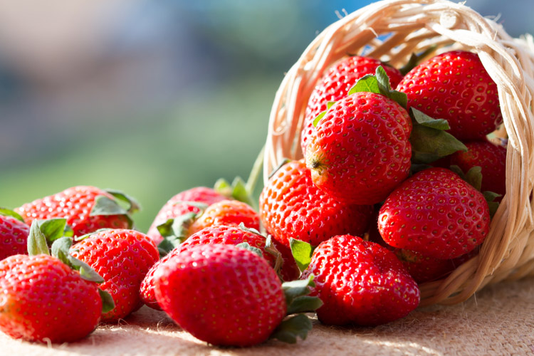 Strawberries: they help regulate mood | Photo: Shutterstock