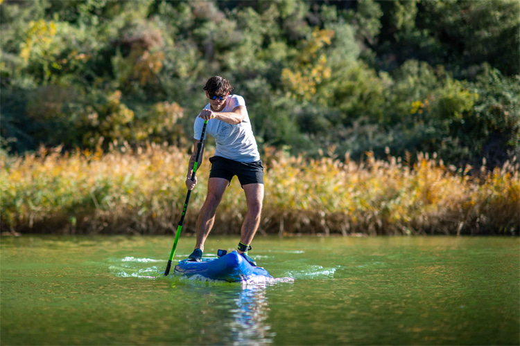 SUP: a touring board requires more speed and less stability | Photo: Jobe Sports