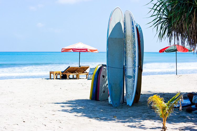 Surfboard rentals: choose a service located near the beach | Photo: Shutterstock