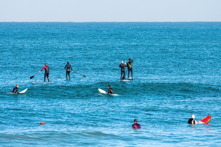 Surf lineup: everyone wants their share of waves | Photo: Shutterstock