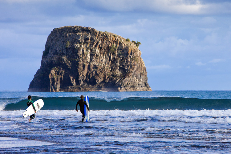 Madeira: the surfing pearl of the Atlantic | Photo: Turismo da Madeira