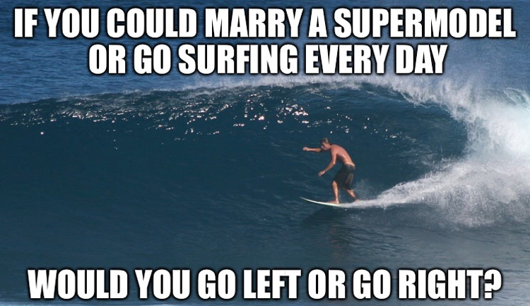 Surfing Meme