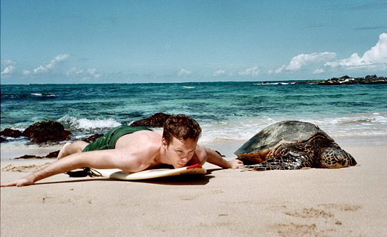 Surfing razzmatazz: he learns how to surf with the turtle