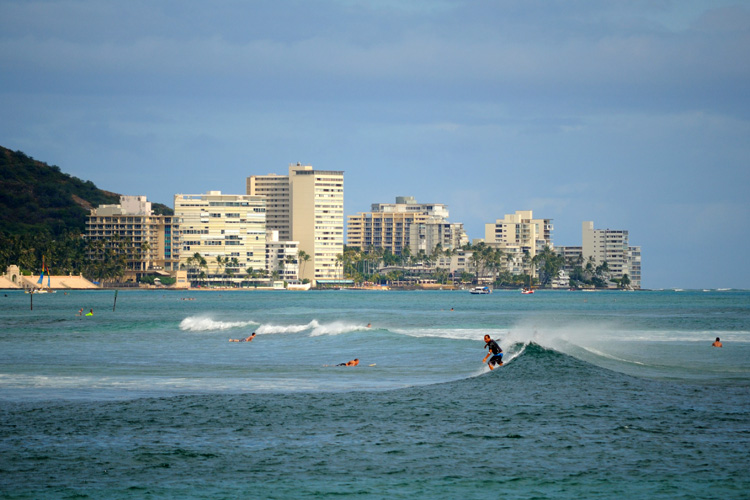 Waikiki: an excellent wave for beginner surfers | Photo: Ramirez/Creative Commons