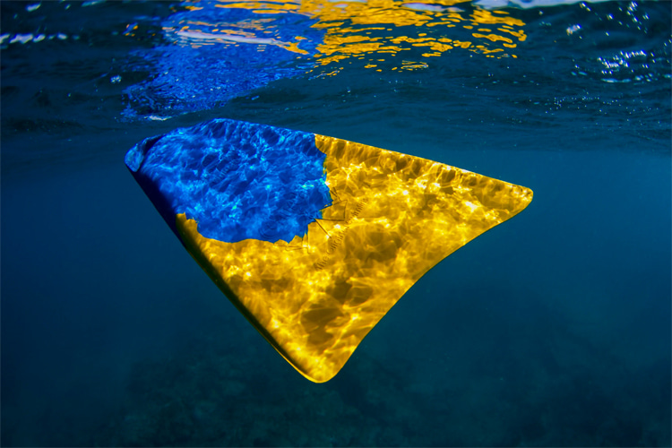 Swim fins: an essential piece of bodyboarding and bodysurfing equipment | Photo: Churchill Swimfins