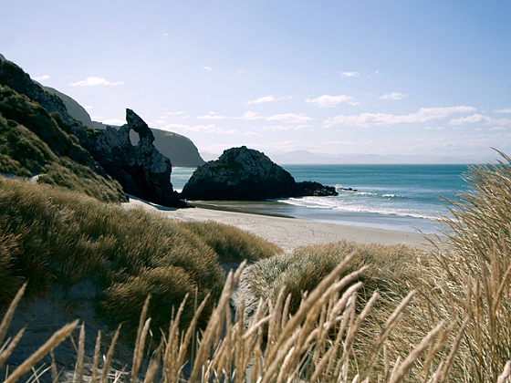 The Spit, New Zealand: a surfing sanctuary