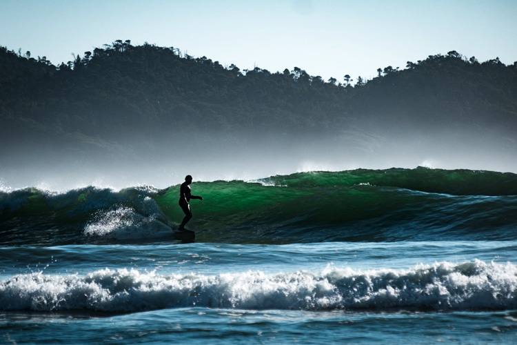 Tofino: the capital of surfing in Canada