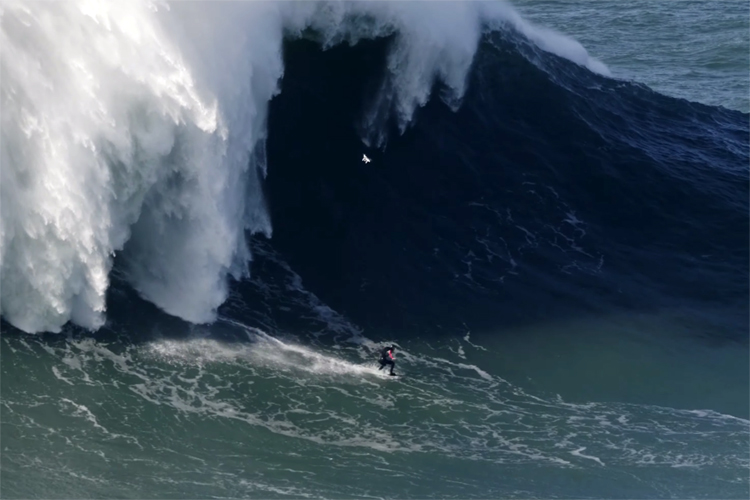 Tom Butler: he may have broken the Guinness World Record for the largest wave ever surfed