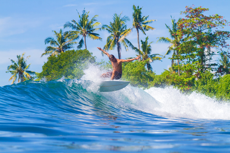 Surfing: get to know all the health risks and diseases associated with traveling to tropical destinations | Photo: Shutterstock
