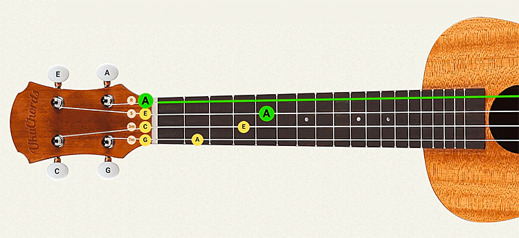Ukulele: the four-string instrument follows the C tuning | Photo: UkuTabs.com