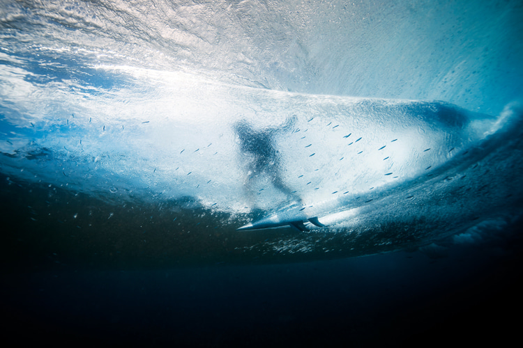 Underwater surf photography: the art of getting in tune with the ocean and the surfer | Photo: Shutterstock