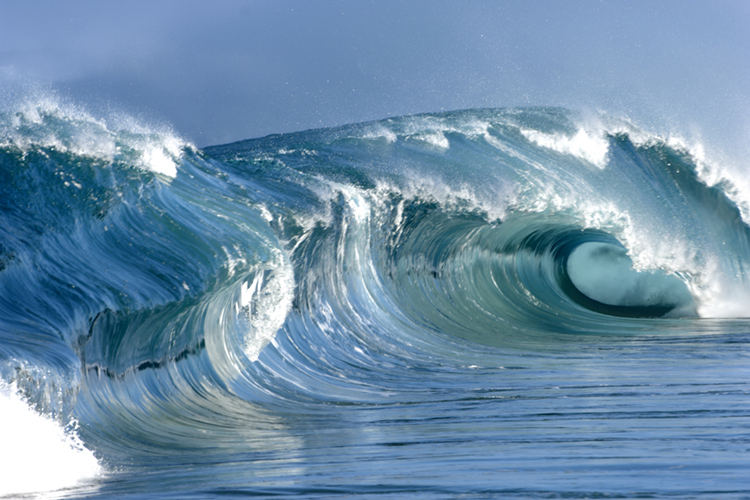 Waves: surf forecasting predicts the size and quality of the surfing waves | Photo: Shutterstock