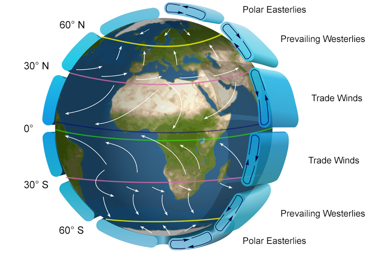 Global wind patterns: the Polar Easterlies, the Prevailing Westerlies, and the Trade Winds