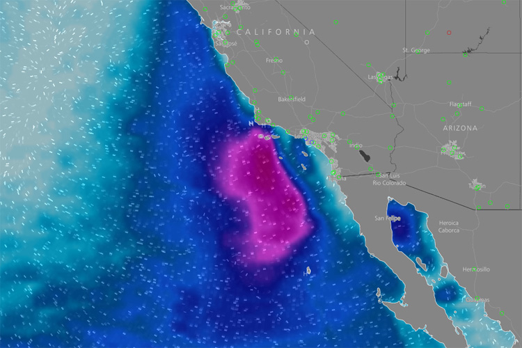 Windytv: surf forecasting app is now available for iOS smartphones