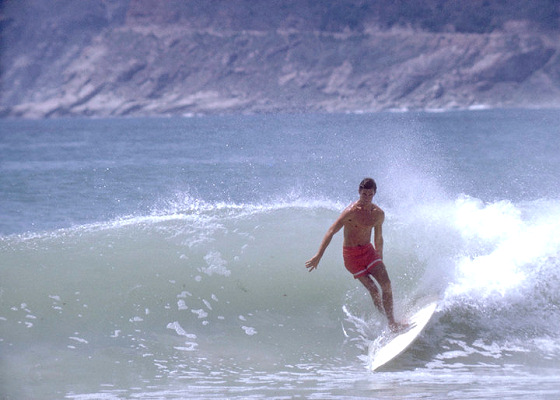 The Endless Summer: screened everywhere