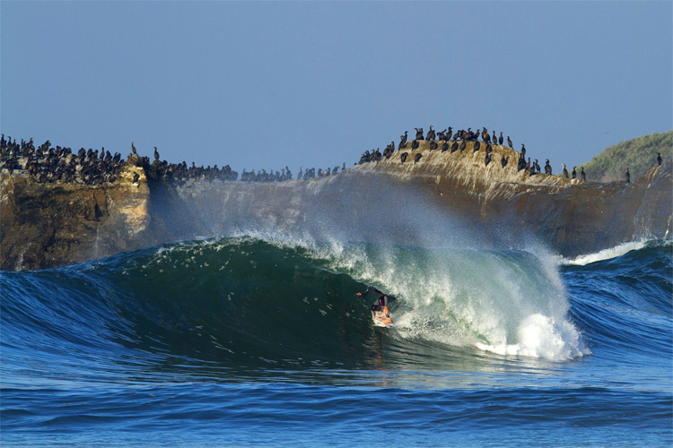 The complete list of World Surfing Reserves